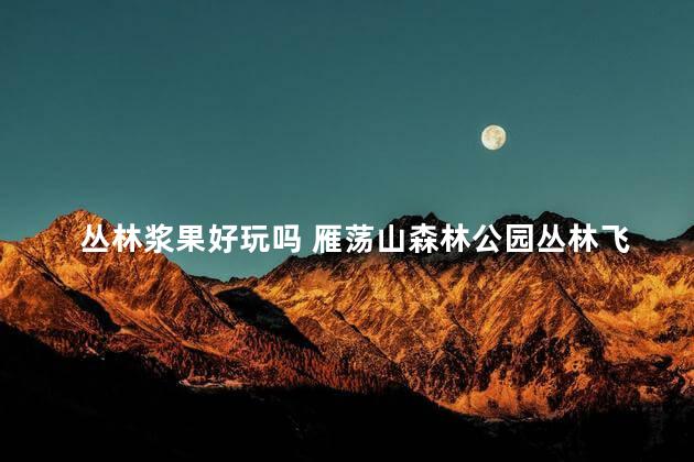 丛林浆果好玩吗 雁荡山森林公园丛林飞跃